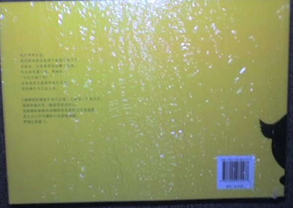 謝謝你毛毛兔這個(gè)下午真好玩 曬單實(shí)拍圖