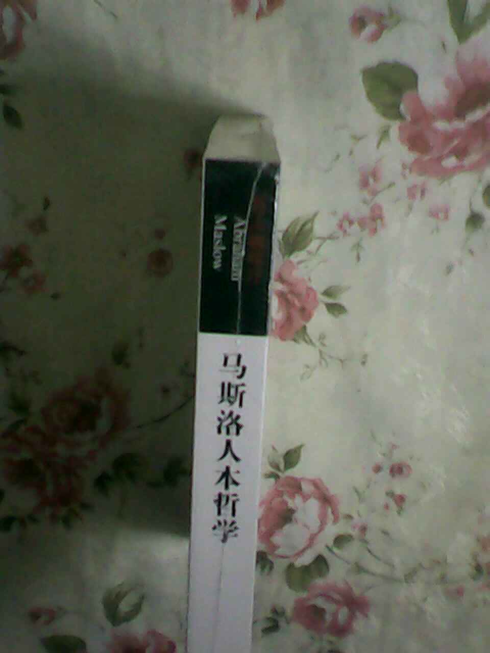 馬斯洛人本哲學(xué) 曬單實(shí)拍圖