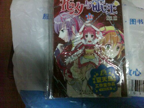 花汐與眠王13 曬單實拍圖