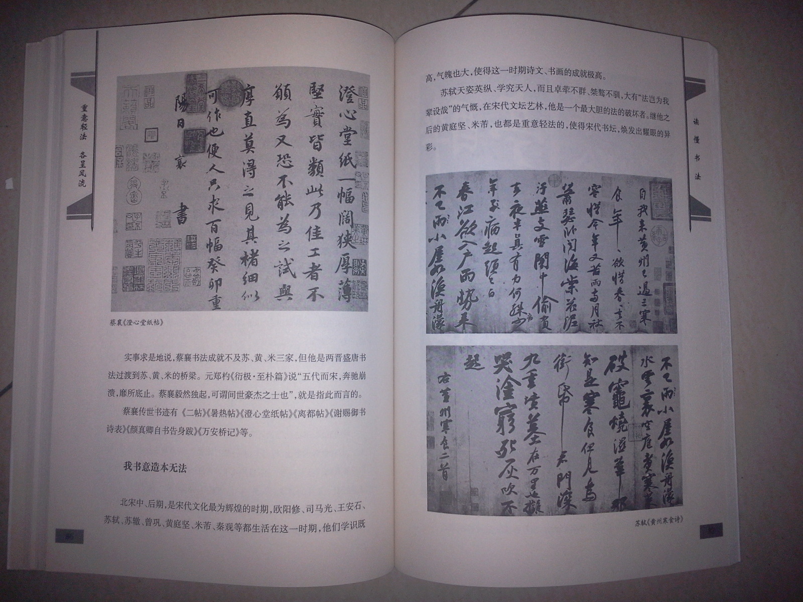 讀懂書法：書法的歷史與變遷 曬單實(shí)拍圖