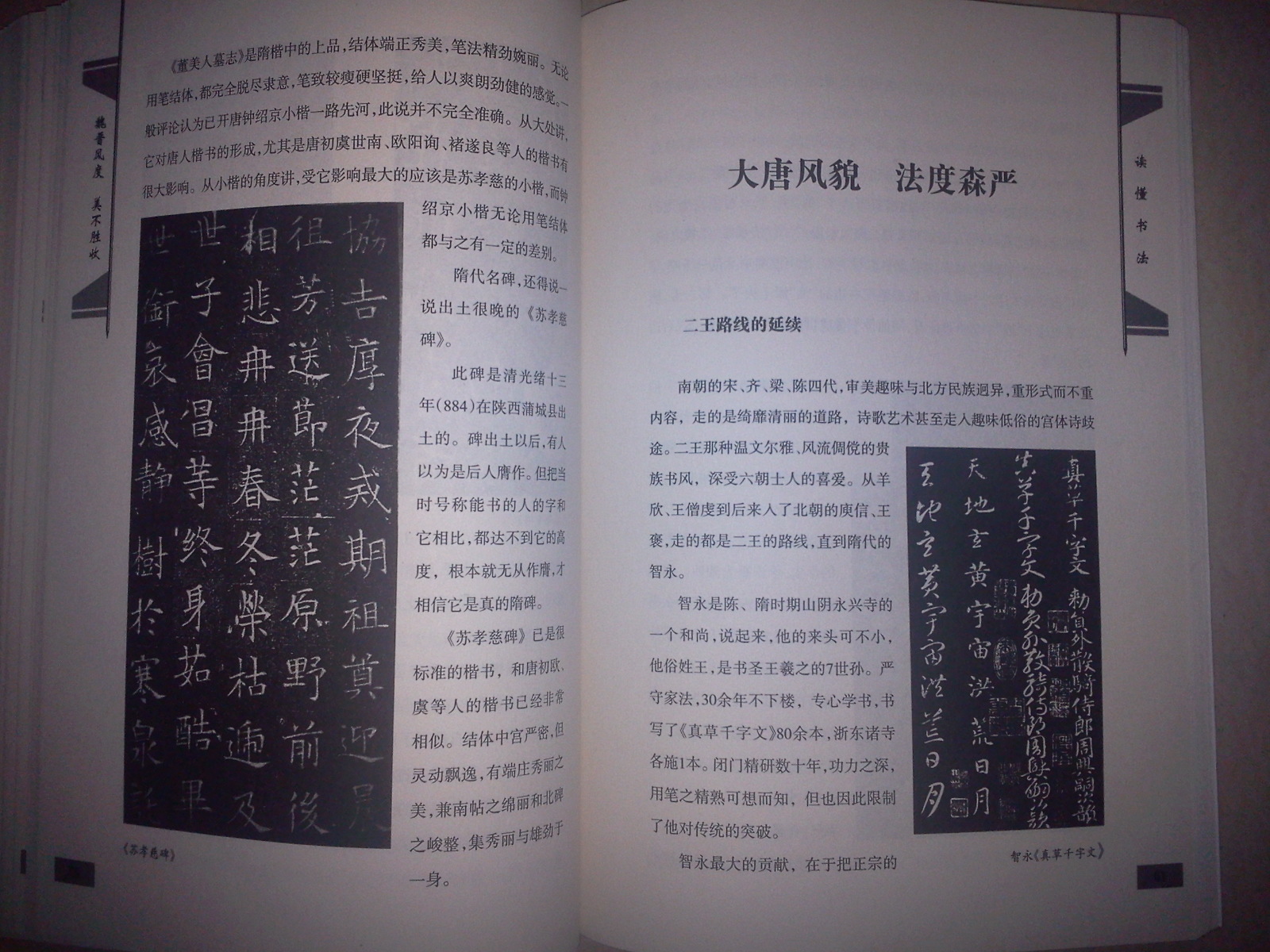 讀懂書法：書法的歷史與變遷 曬單實(shí)拍圖