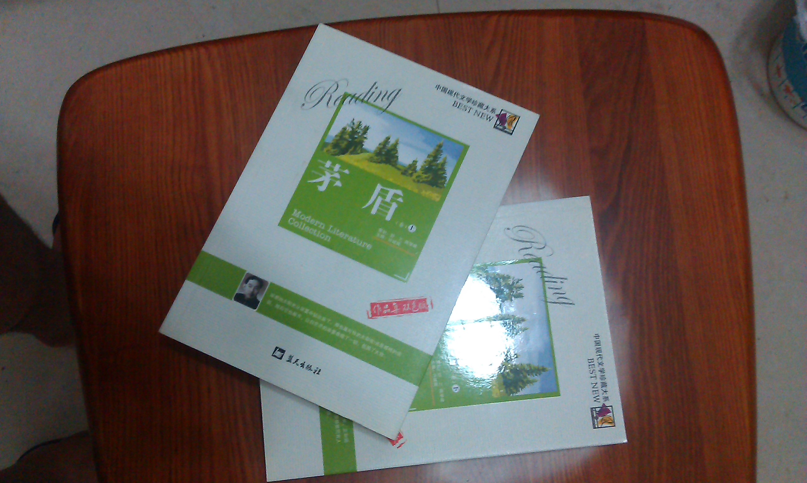 中國現代文學(xué)珍藏大系：茅盾卷（作品集雙色版）（套裝上下冊） 曬單實(shí)拍圖