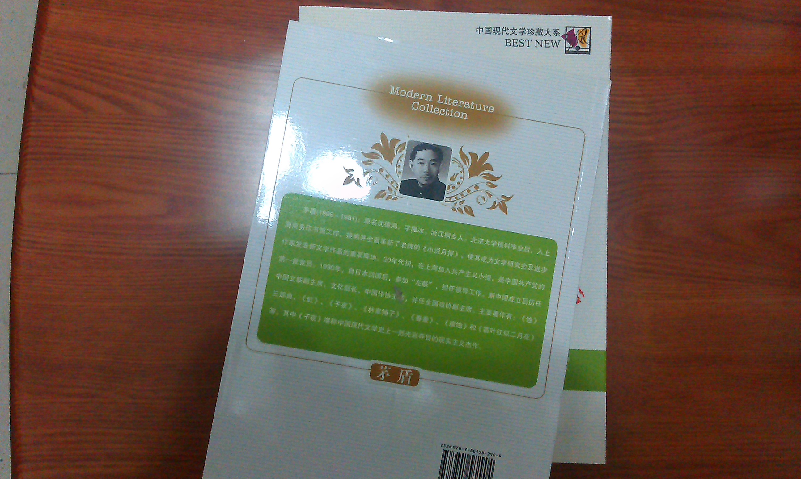 中國現代文學(xué)珍藏大系：茅盾卷（作品集雙色版）（套裝上下冊） 曬單實(shí)拍圖