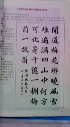 書(shū)法考級(jí)達(dá)標(biāo)字帖：魏碑 曬單實(shí)拍圖
