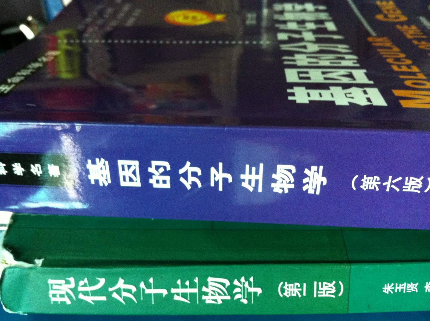基因的分子生物學(xué)（第6版） 曬單實(shí)拍圖