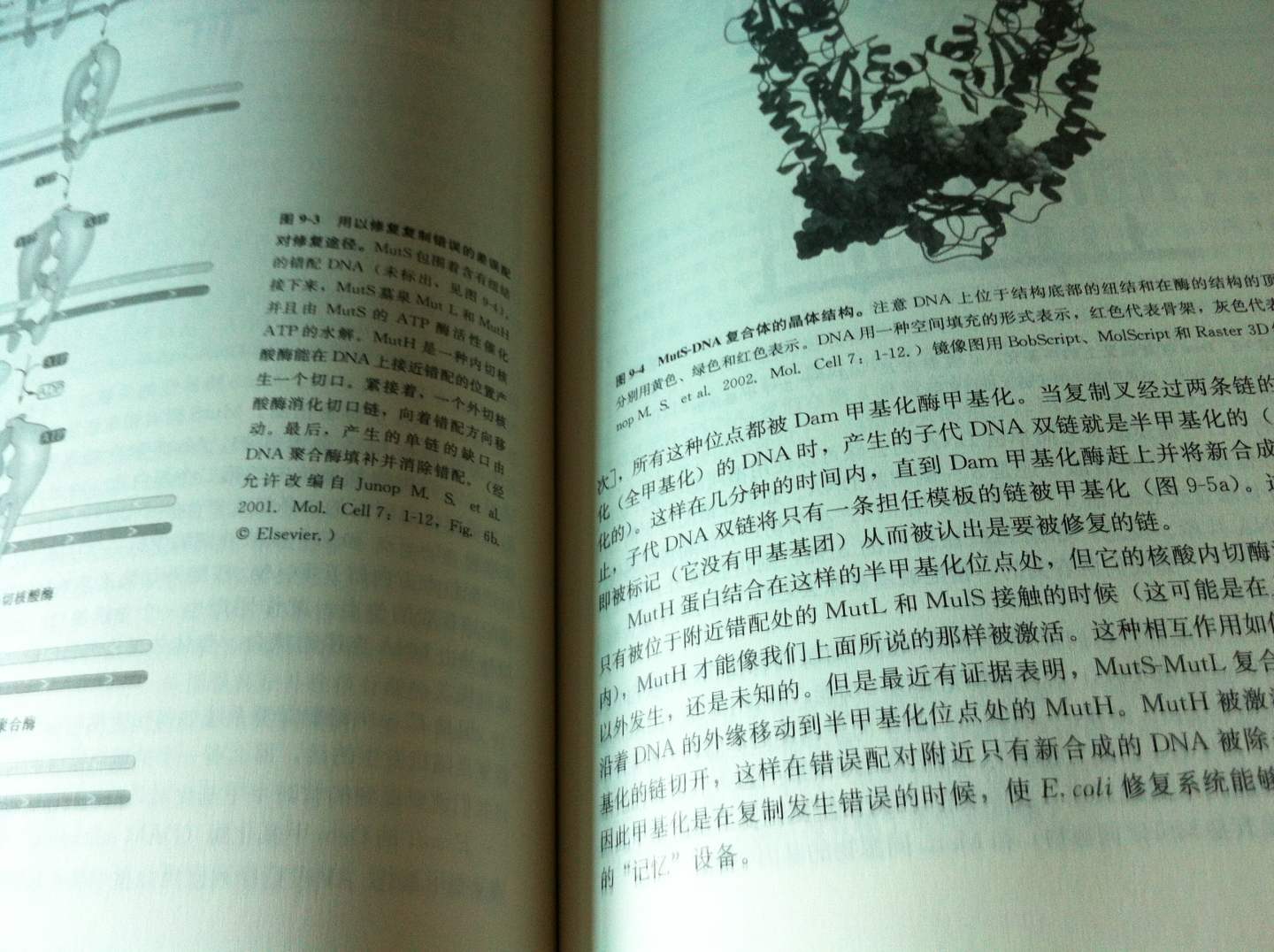 基因的分子生物學(xué)（第6版） 曬單實(shí)拍圖