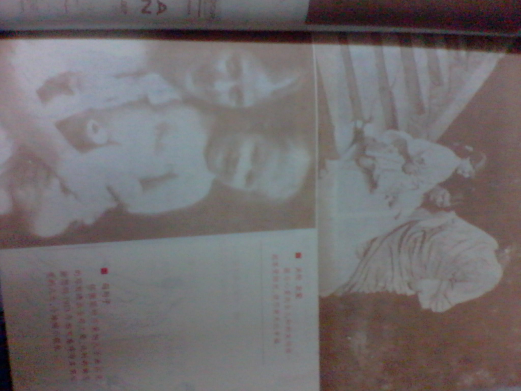 舞者之歌：伊莎朵拉·鄧肯回憶錄（插圖珍藏本） 曬單實(shí)拍圖