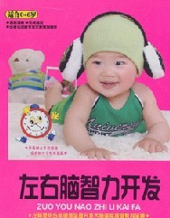 左右腦智力開發(fā)（10DVD）（京東專賣） 曬單實拍圖