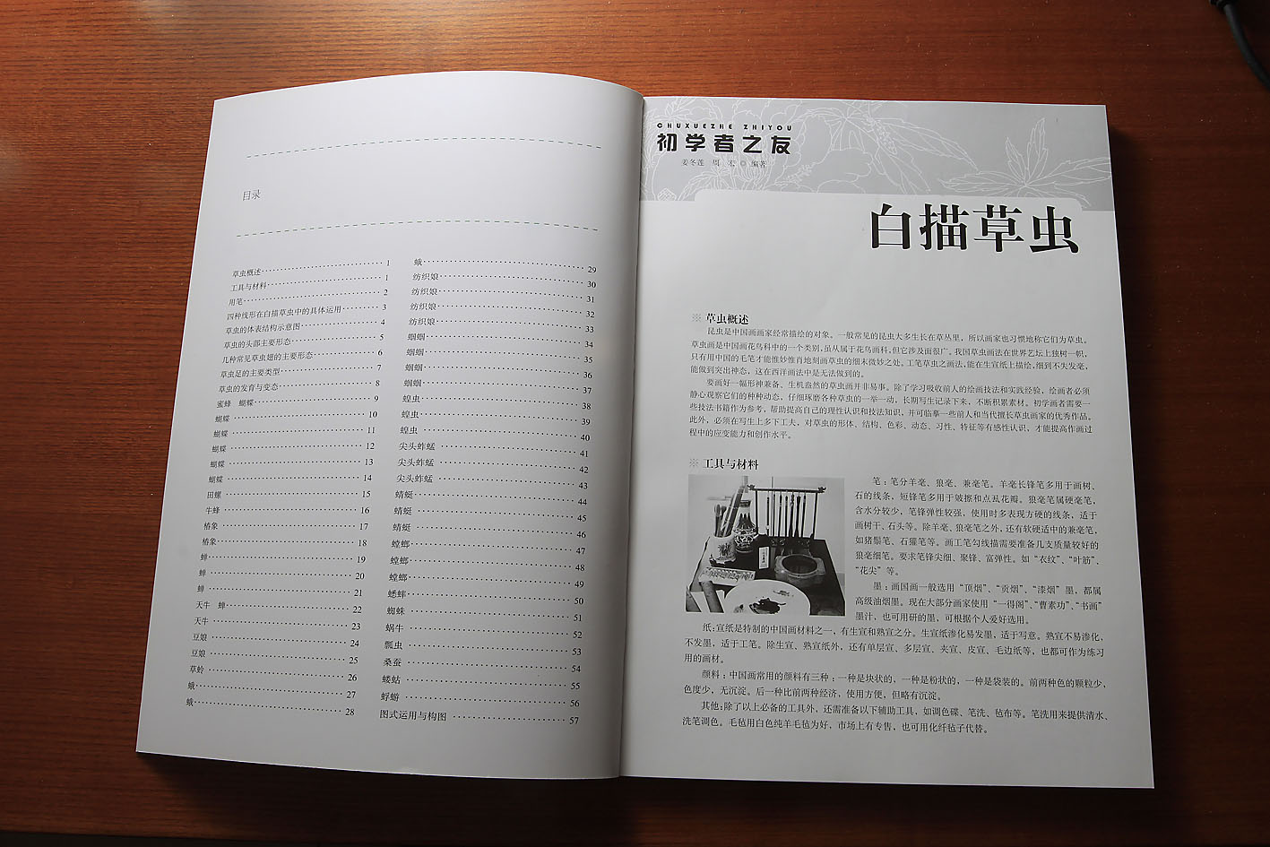初學(xué)者之友：白描草蟲 曬單實(shí)拍圖