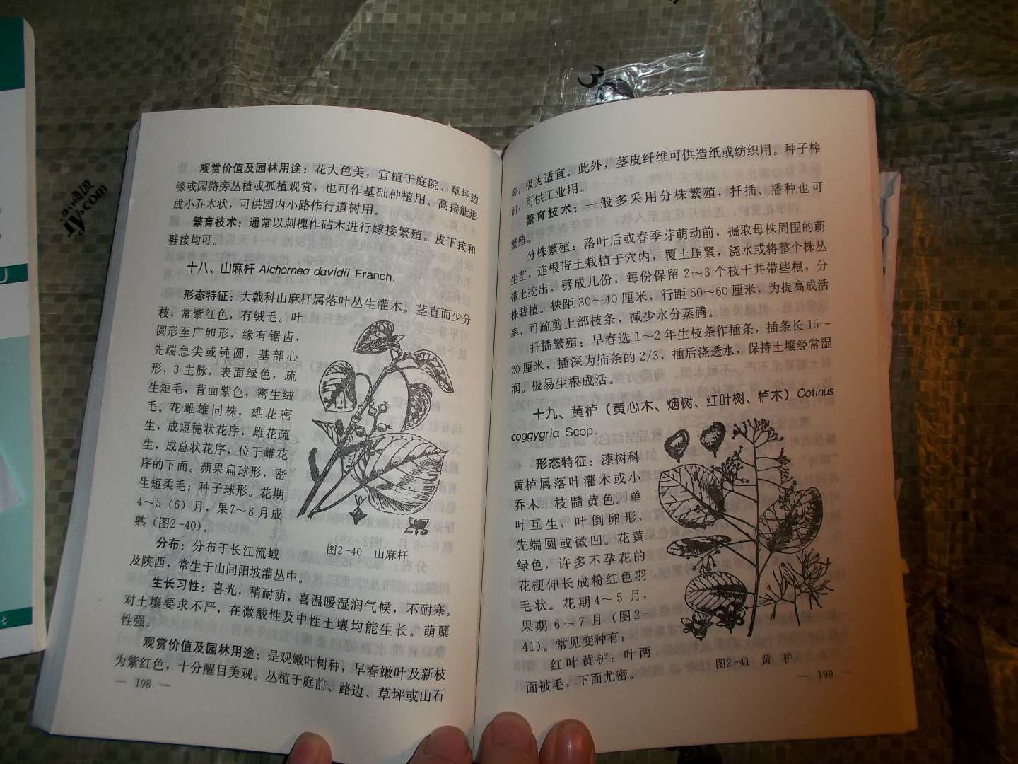 130種園林苗木繁育技術(shù) 曬單實(shí)拍圖