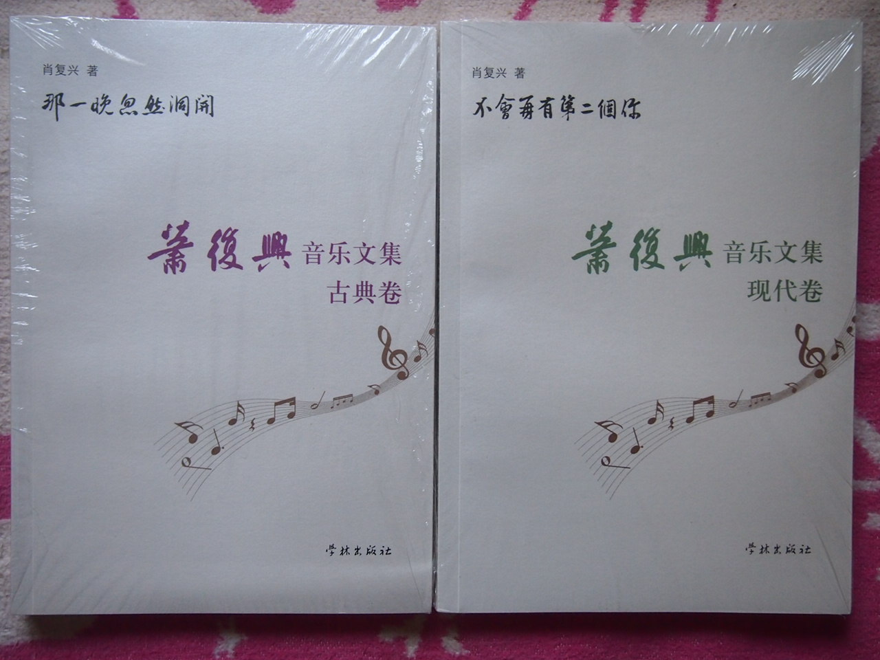 不會(huì )再有第二個(gè)你：肖復興音樂(lè )文集（現代卷） 曬單實(shí)拍圖
