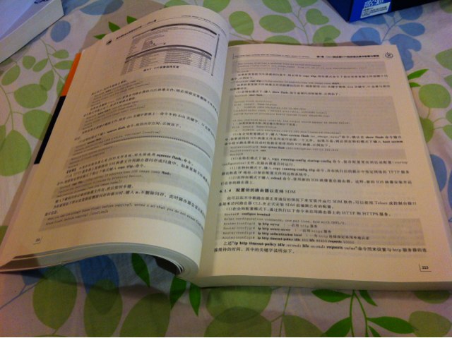 路由器配置與管理完全手冊（Cisco篇） 曬單實拍圖