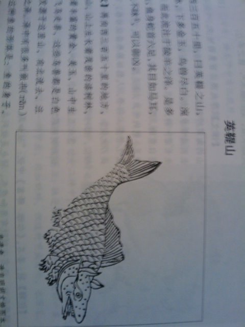 全注全譯山海經(jīng)（插圖珍藏本） 曬單實(shí)拍圖