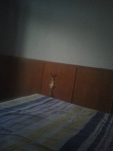 中外經(jīng)典聲樂(lè )作品教學(xué)曲集（附原版鋼琴伴奏）鋼琴基礎教程 鋼琴書(shū) 曬單實(shí)拍圖