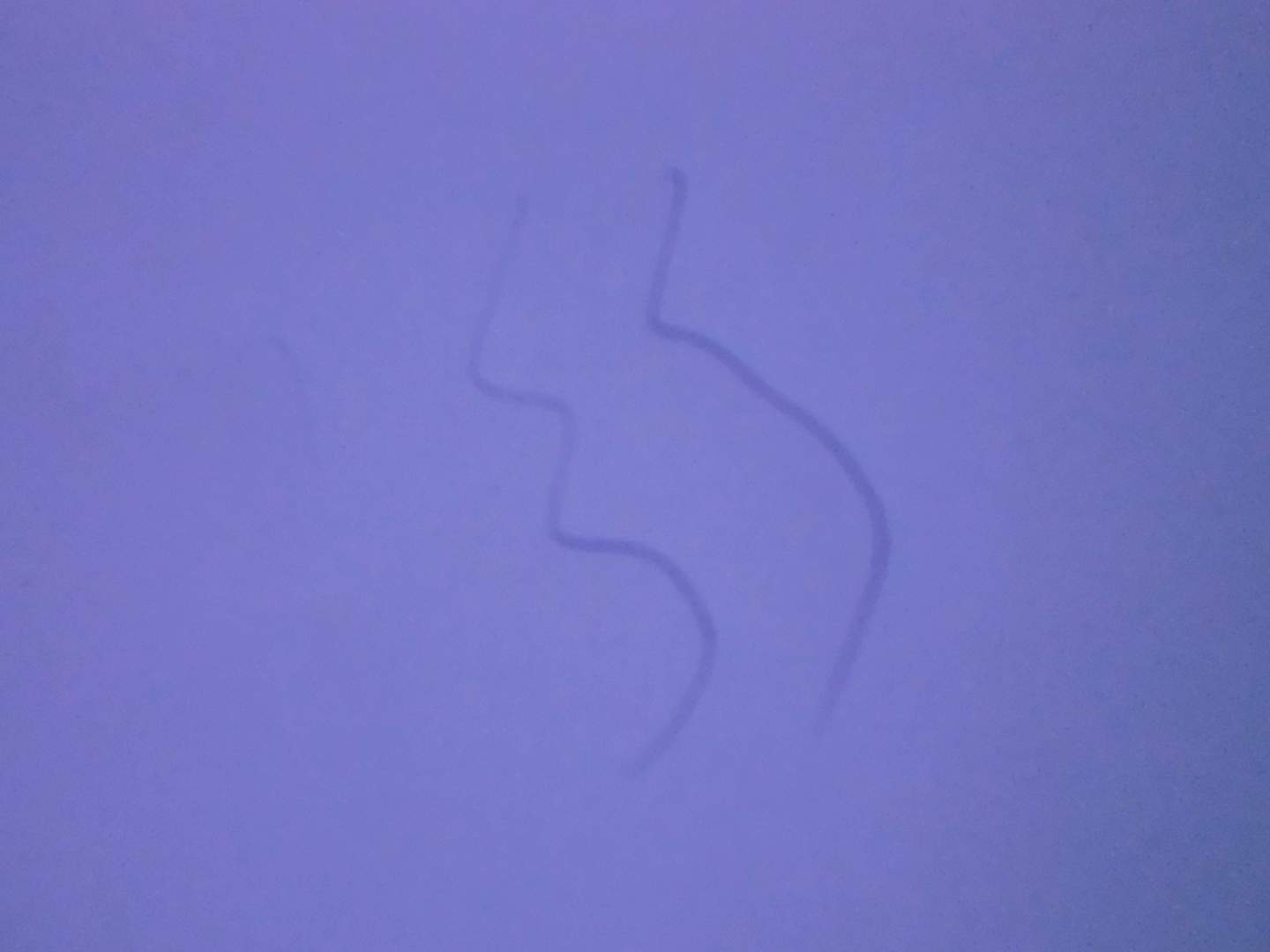 晨光0.7藍色按鍵式圓珠筆BP-8106(12支裝) 曬單實(shí)拍圖