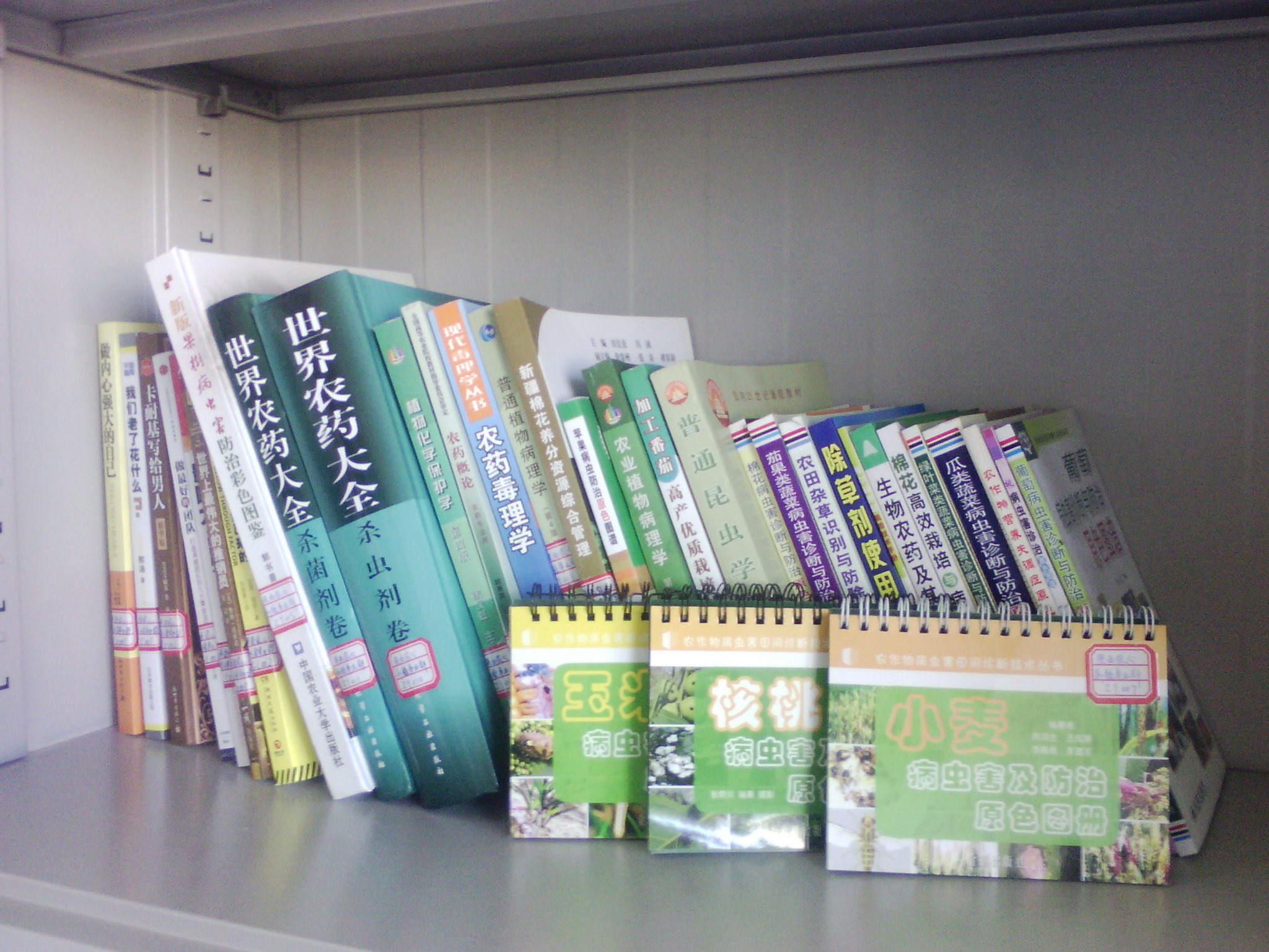 庫爾勒香梨栽培技術(shù)手冊 曬單實拍圖