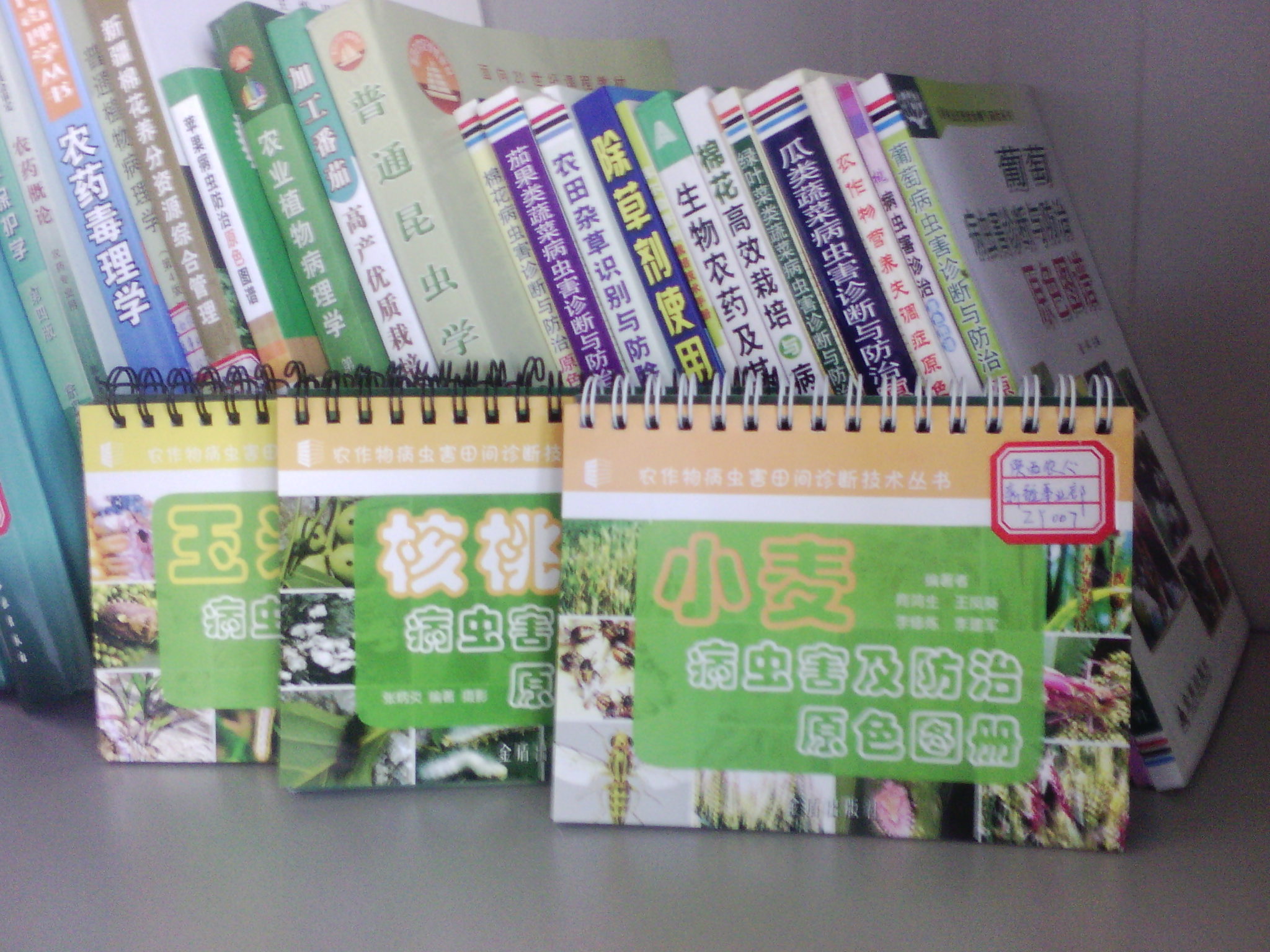 庫爾勒香梨栽培技術(shù)手冊 曬單實拍圖