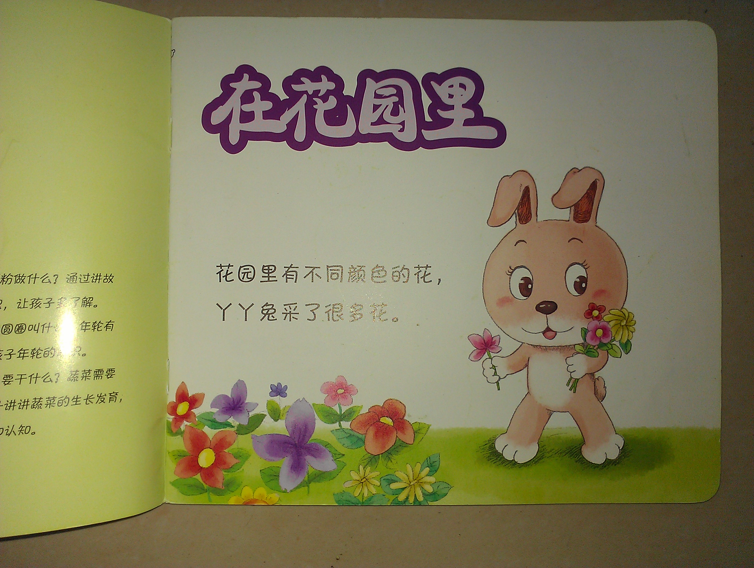 小白兔童書館·中國第一套幼兒自助成長書：哆哆熊認(rèn)知小故事/動物的尾巴（適合0-3歲） 曬單實拍圖
