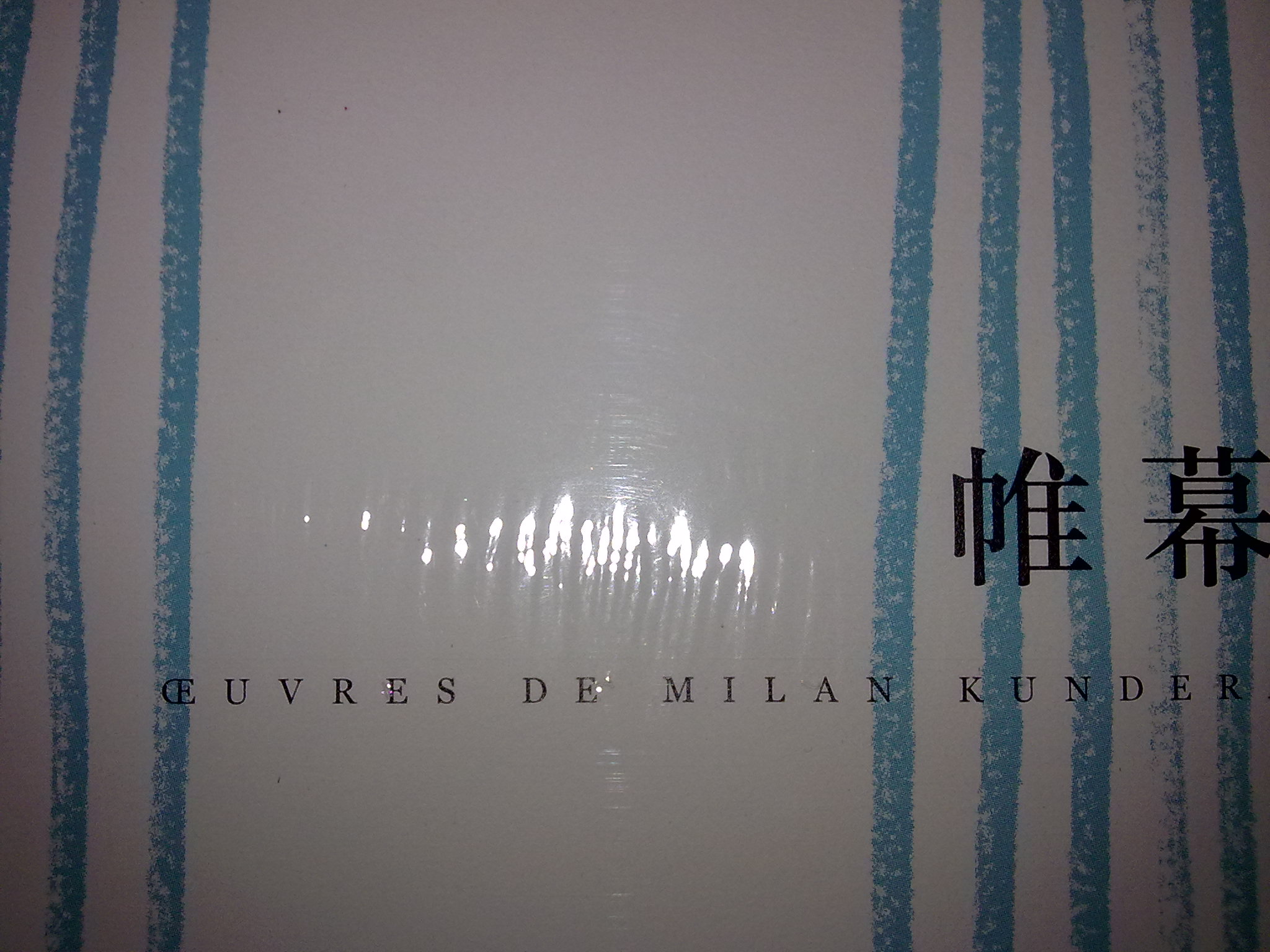 米蘭·昆德拉作品系列：帷幕 曬單實(shí)拍圖