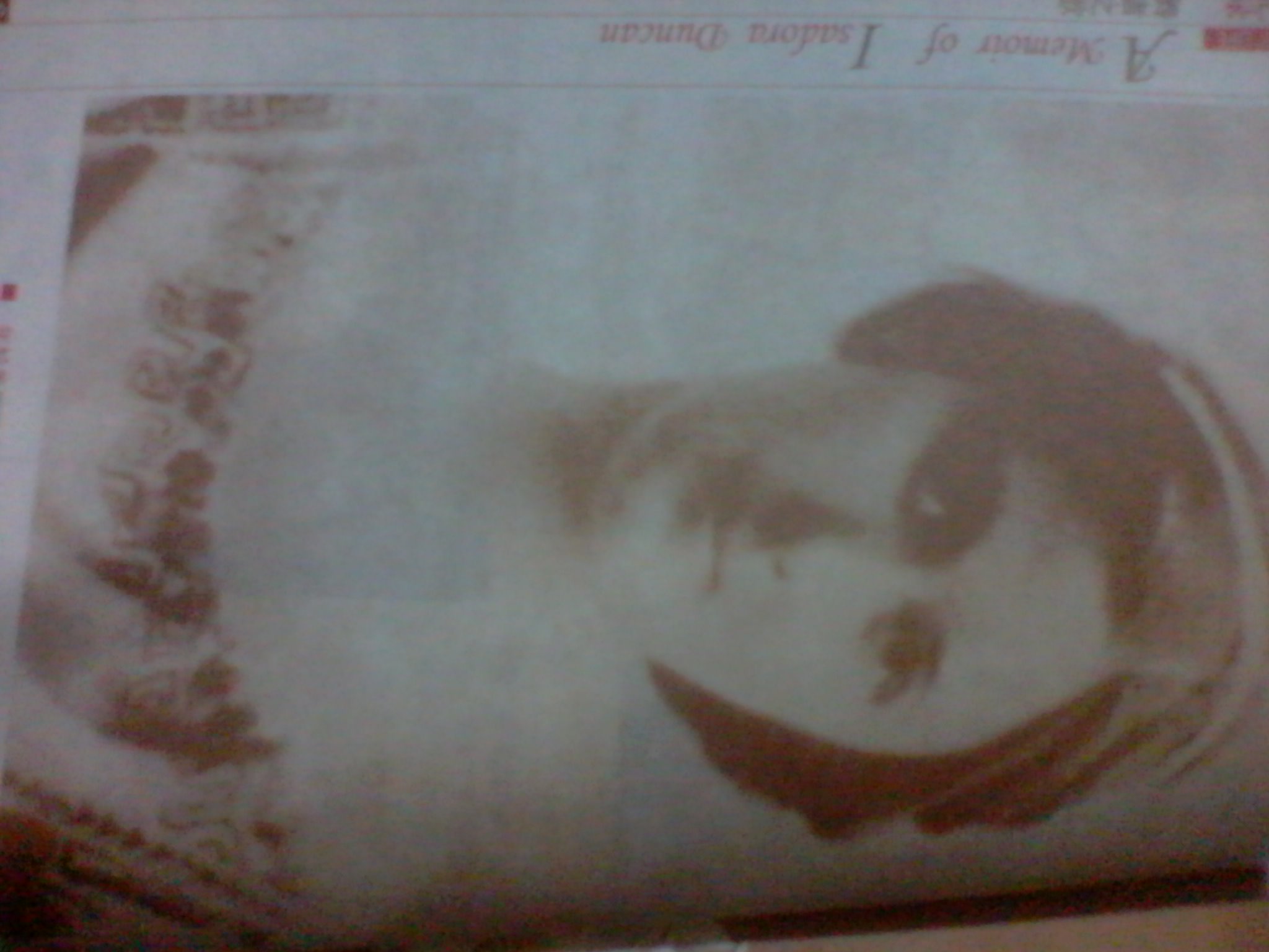 舞者之歌：伊莎朵拉·鄧肯回憶錄（插圖珍藏本） 曬單實(shí)拍圖