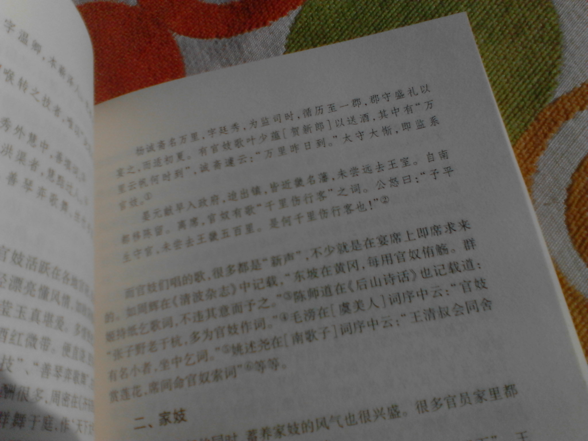 唐宋詞傳播方式研究 曬單實(shí)拍圖