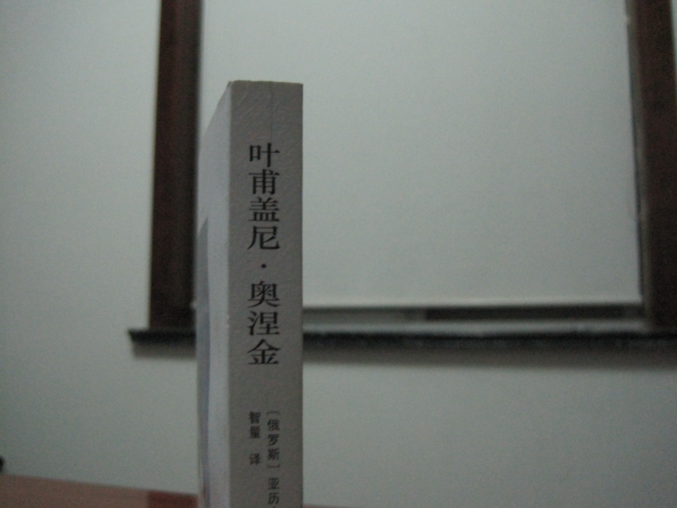 葉甫蓋尼·奧涅金 曬單實(shí)拍圖