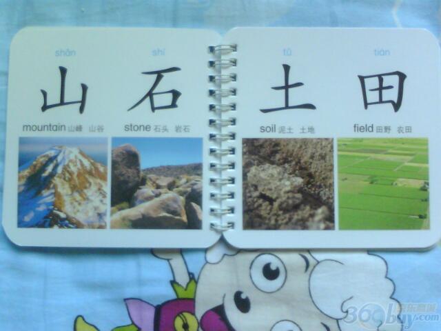 撕不爛版寶寶開(kāi)始學(xué)：識(shí)字 曬單實(shí)拍圖