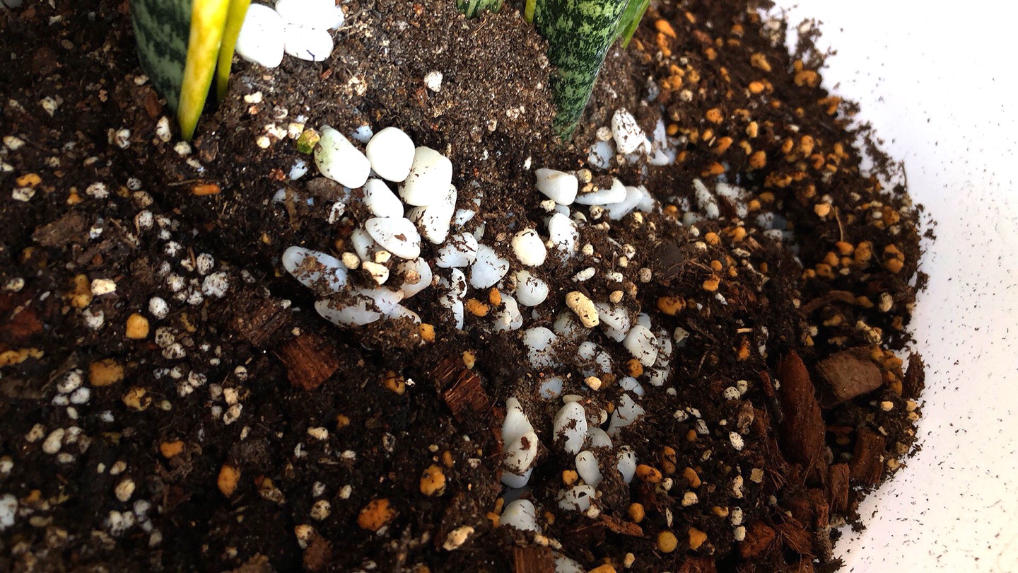 种了好几盆花刚好够用。