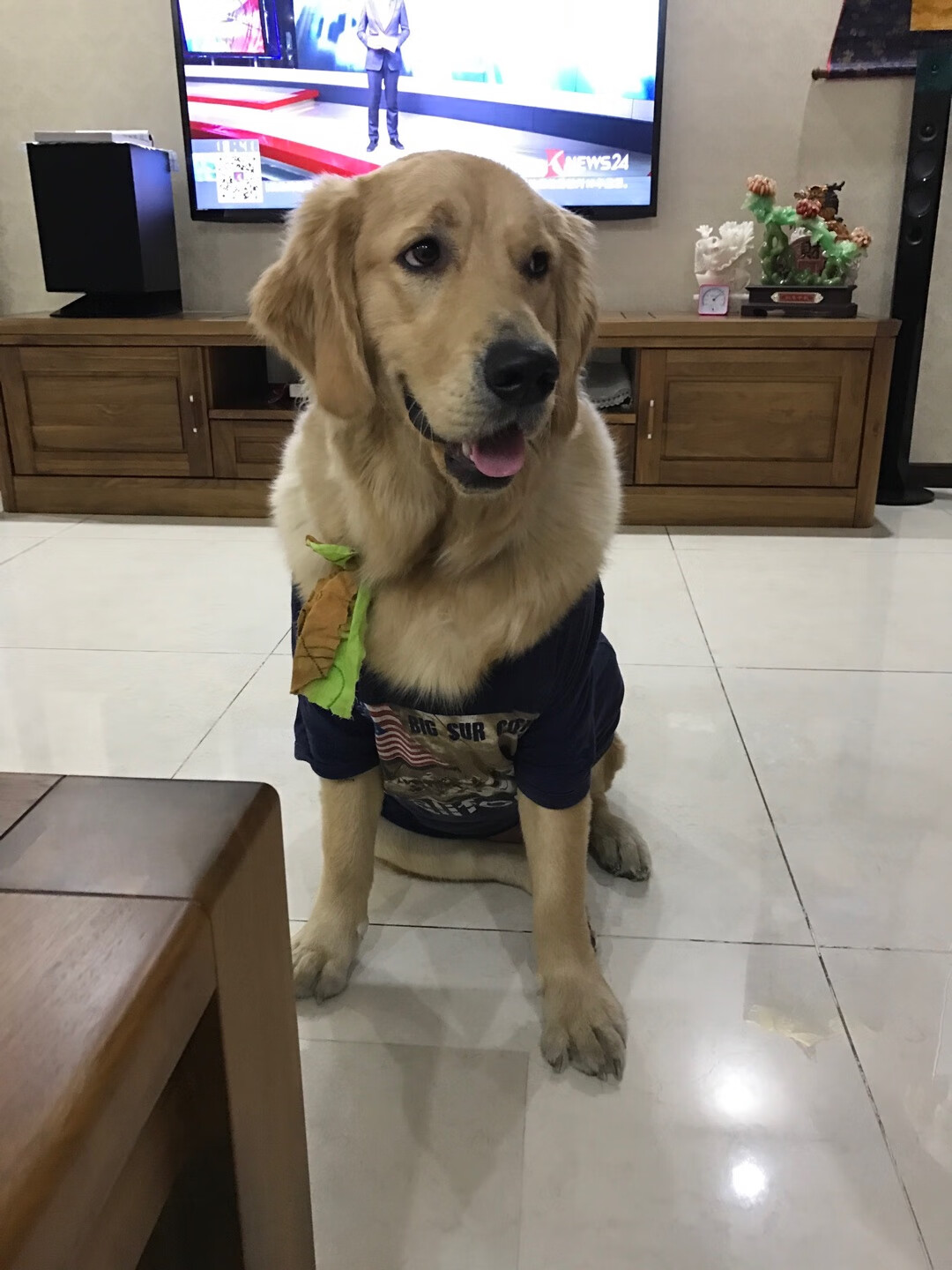 大胖狗的食粮,从幼犬开始吃,已经吃了2年多了,体重从6斤到130斤,很不错!性价比超高