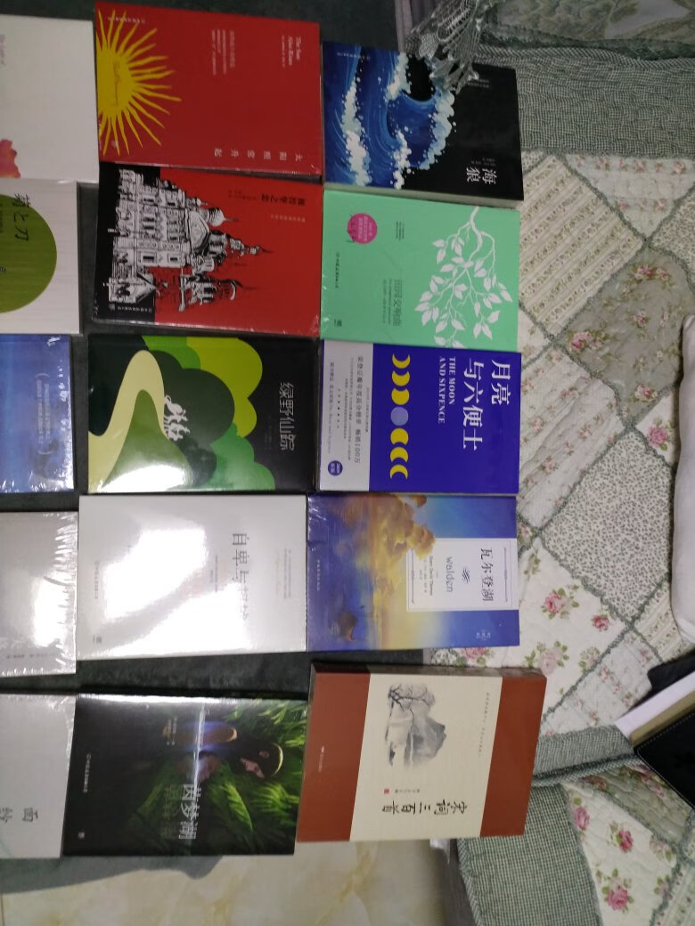 货已收到,活动买的,包装完好,有时间就会去看的,多读读书对灵魂有增益,很喜欢在买书,一般都是名著,小说,读起来方便,跟随者大师们的思绪,穿越到故事当中。