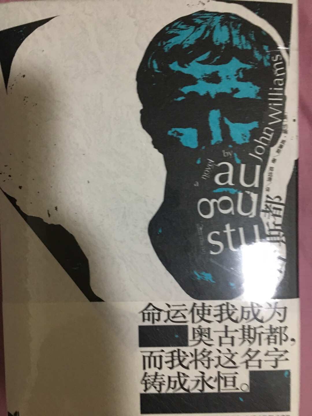 趁着搞活动,一次买了一大摞,又能看好几个月了,尤利西斯是早有耳闻的,只是一直没下狠心买,意识流小说代表作,真要好好拜读一下