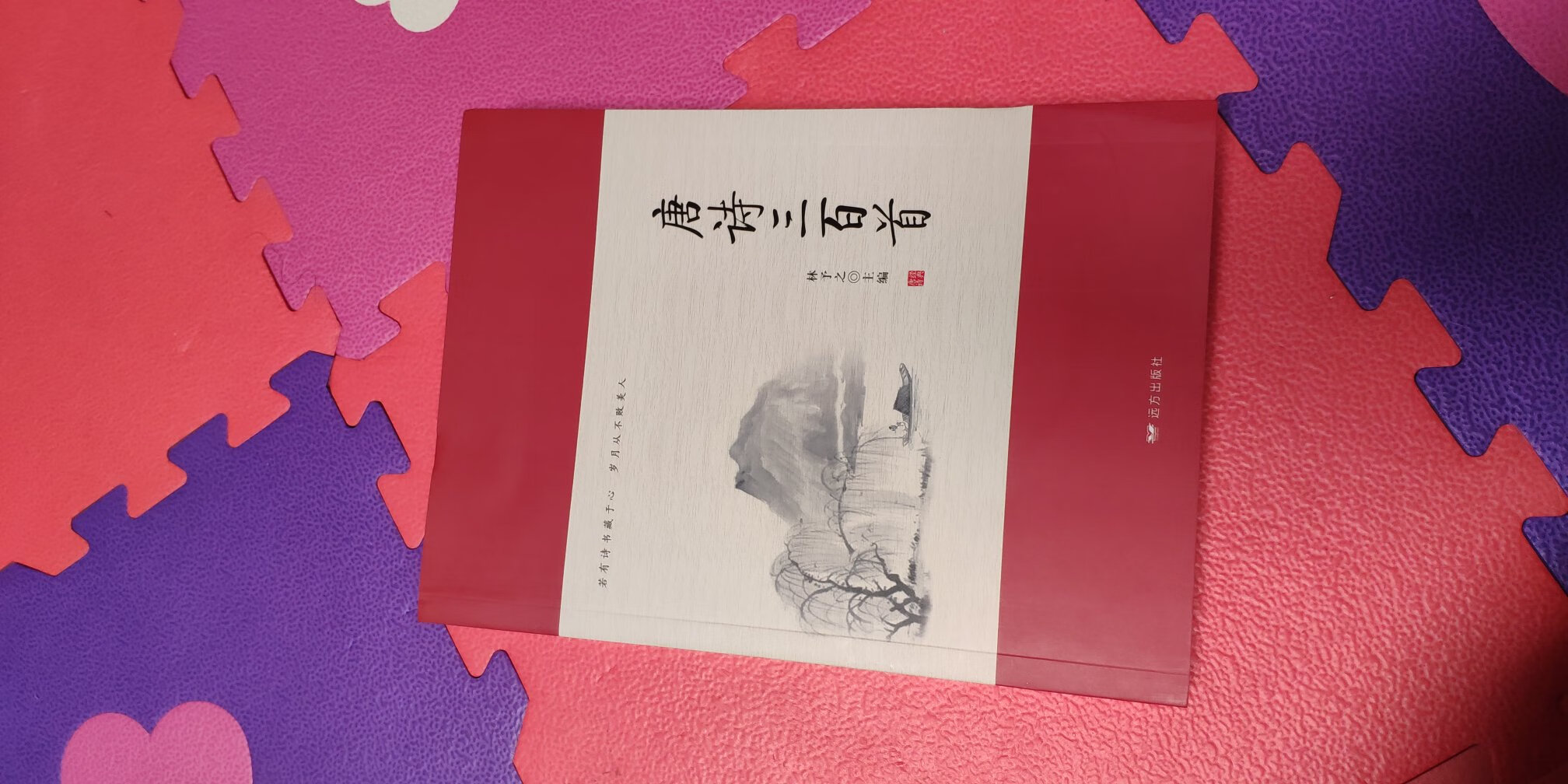 一直在买书,平时列好清单,赶上有满减和用券的活动的时候还是非常划算的,童书的类目非常丰富,趁活动备了很多,陪伴孩子的成长,主要是还在售后服务方面响应很及时,无论是价保还是退换货方面 确实买的比较放心!