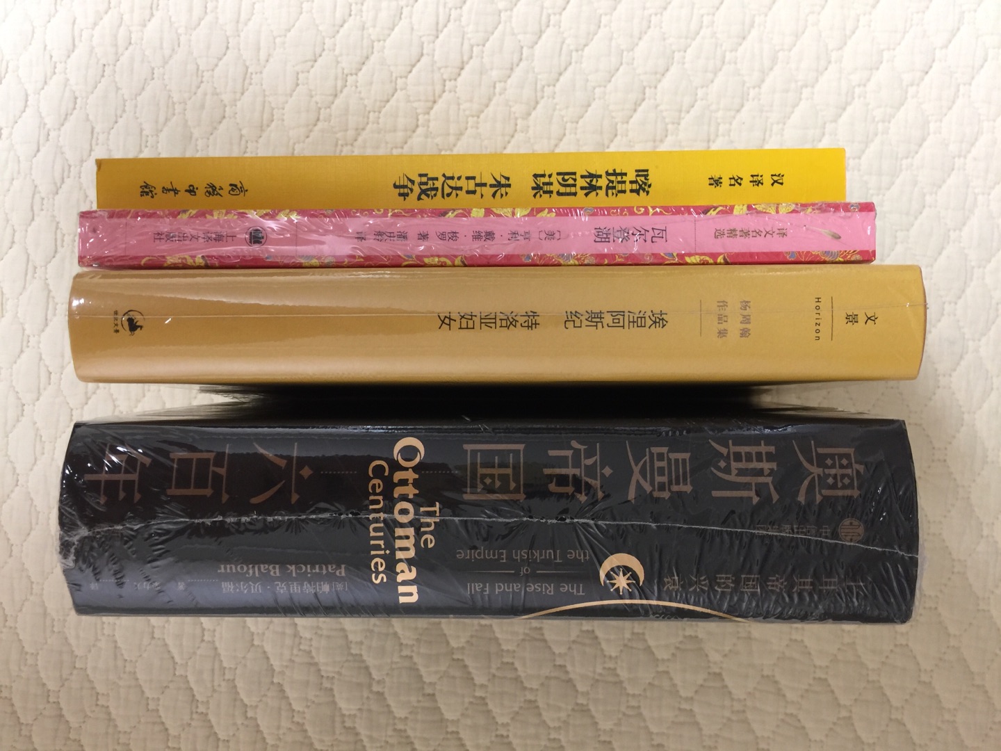 放在购物车里很久才下单,很想一睹罗马史诗的风采,也是在看过伊利亚特和奥德赛之后,想让那些英雄的故事继续在我的内心世界里传唱下去。