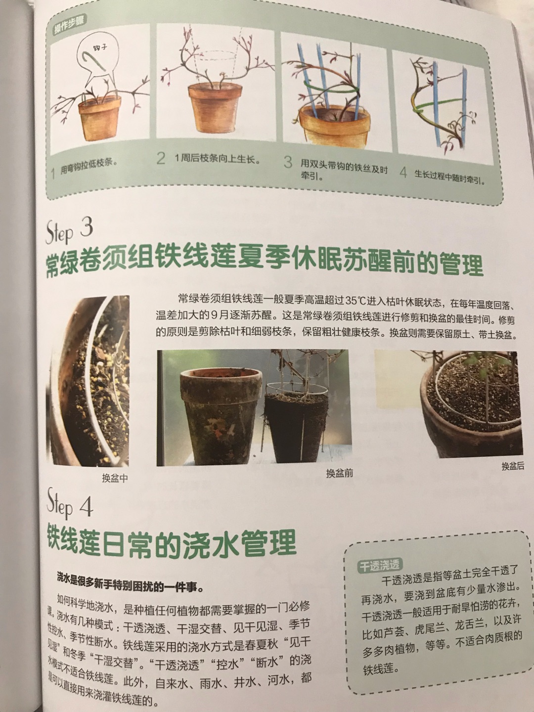 不错的书,写得很详细,说真的,种花无论是什么花,付出的跟收获都成正比,每月洒药,2周一次液态肥,3个月一次控释肥,还要长期观察生长情况弄形状等,确实不是一件容易的事情