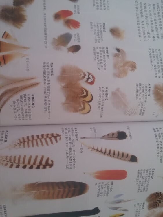 铜版纸缺少光泽,印刷色彩不够艳丽,纸面暗淡,纸也薄,最主要字体太小。这个价格,真对不起这份做工,和大百科出版社出品的DK系列儿童书籍一比较,电子工业出版社出版的这些儿童DK书就是地摊货。