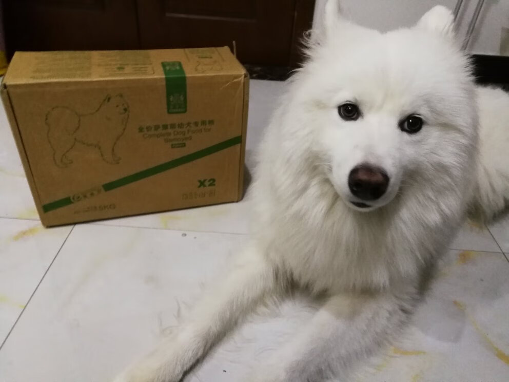 给二狗子买的存着慢慢吃吧,京#粮价格实惠速度快!