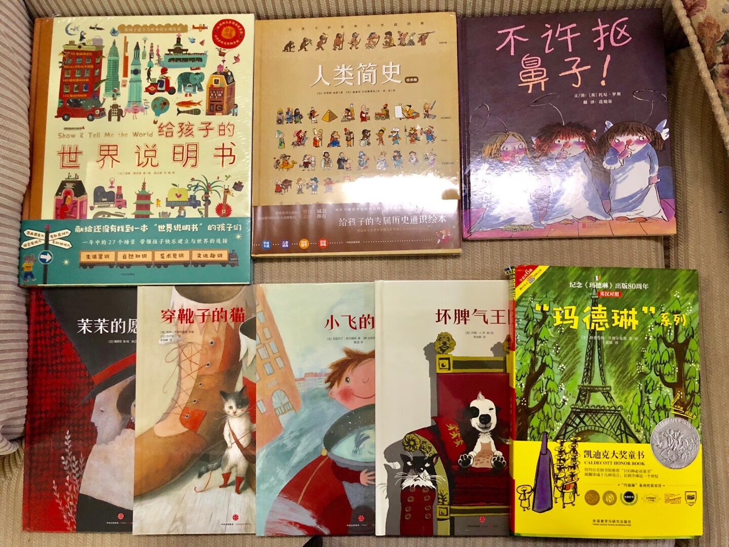 书的开本比较大,看起来视觉效果好,遇见美好系列二四本都买了,系列一在哪里?有时间研究一下。玛德琳系列也是很经典了,人类简史和世界说明书买的时候价格都挺美好的,很开心很开心。