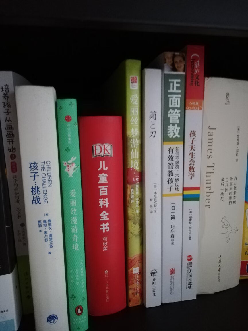 爱丽丝为了追赶一只揣着怀表、会说话的兔子,掉进了兔子洞,由此坠入了神奇的地下世界。在这个世界里,所有的秩序都是打乱的:喝一口水就能缩得如同老鼠大小,吃一块蛋糕又会变成巨人;同一块蘑菇吃右边就变矮,吃左边则又长高……在这个奇幻疯狂的世界里,似乎只有爱丽丝是清醒的人,她不断探险,同时又不断追问,在探险的同时不断认识自我,不断成长。