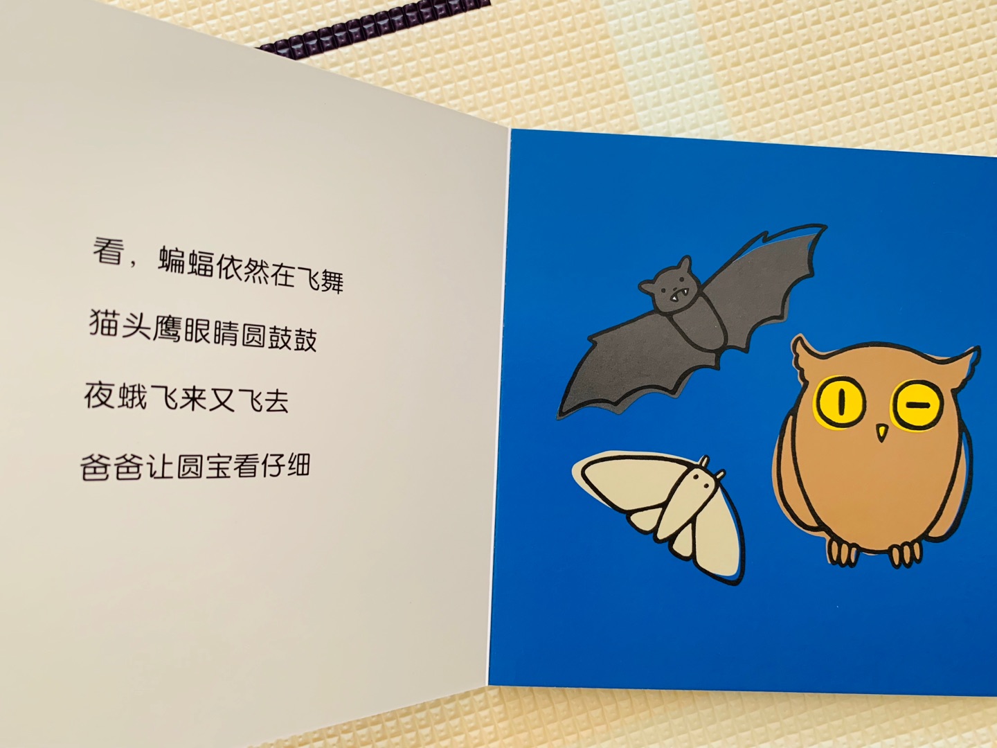 这套精美的纸板书内页漂亮极了,低幼好绘本,无味道,主角是中国国宝大熊猫,颜色鲜艳,从内容上看,一岁半左右到三岁佳,六个贴近生活的话题,其中想象力恰好适合1-3岁宝宝的想象力发育。