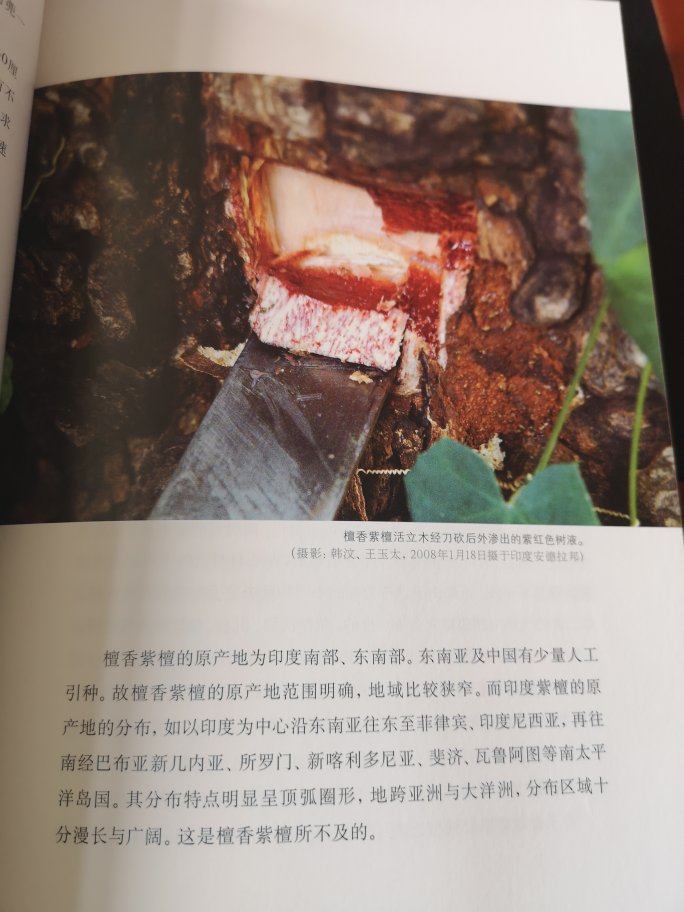 这是第二次购买,备用收藏的,第一本差不多已翻烂了。想正确和深层次了解紫檀的,这是目前最好的书。彩印,封面纸张略次,建议出精装本。