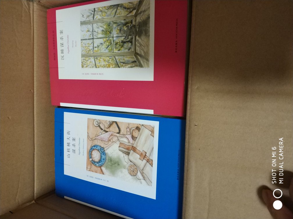 满满一大箱子书,我是阿婆的忠实粉丝,从小看拍成电影尼罗河惨案,阳光下的罪恶,东方快车@案,就深深地着了迷,这次搞活动赶紧入,我要别阿婆的书都看完??物流就是给力,赞赞赞。