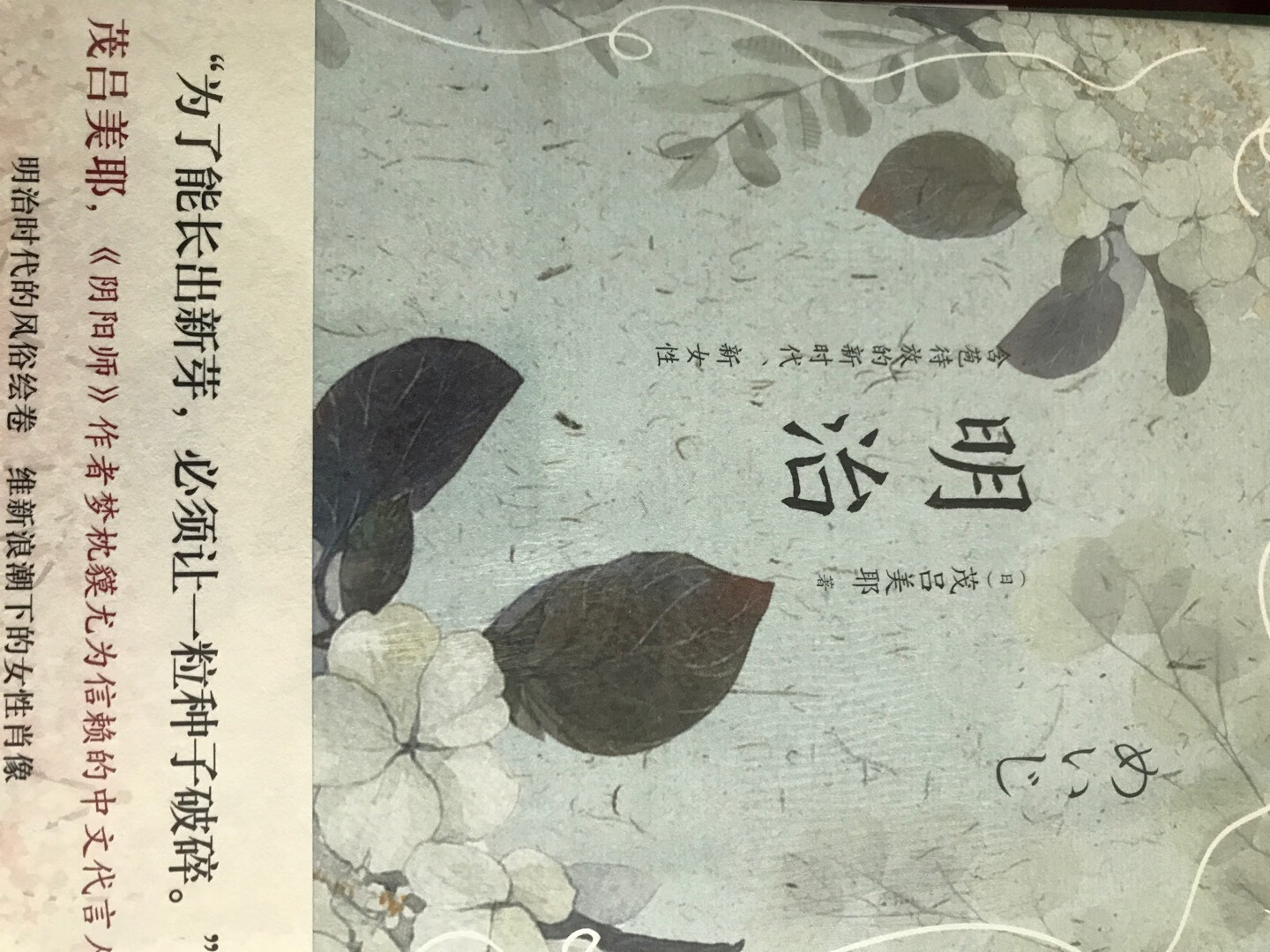 从明亮华丽的明治时代,到绚烂浪漫的大正时代,茂吕美耶用深入浅出的文笔,勾勒出一个又一个如樱花般美丽动人的日本奇女子。她的书买过几本,感觉不错