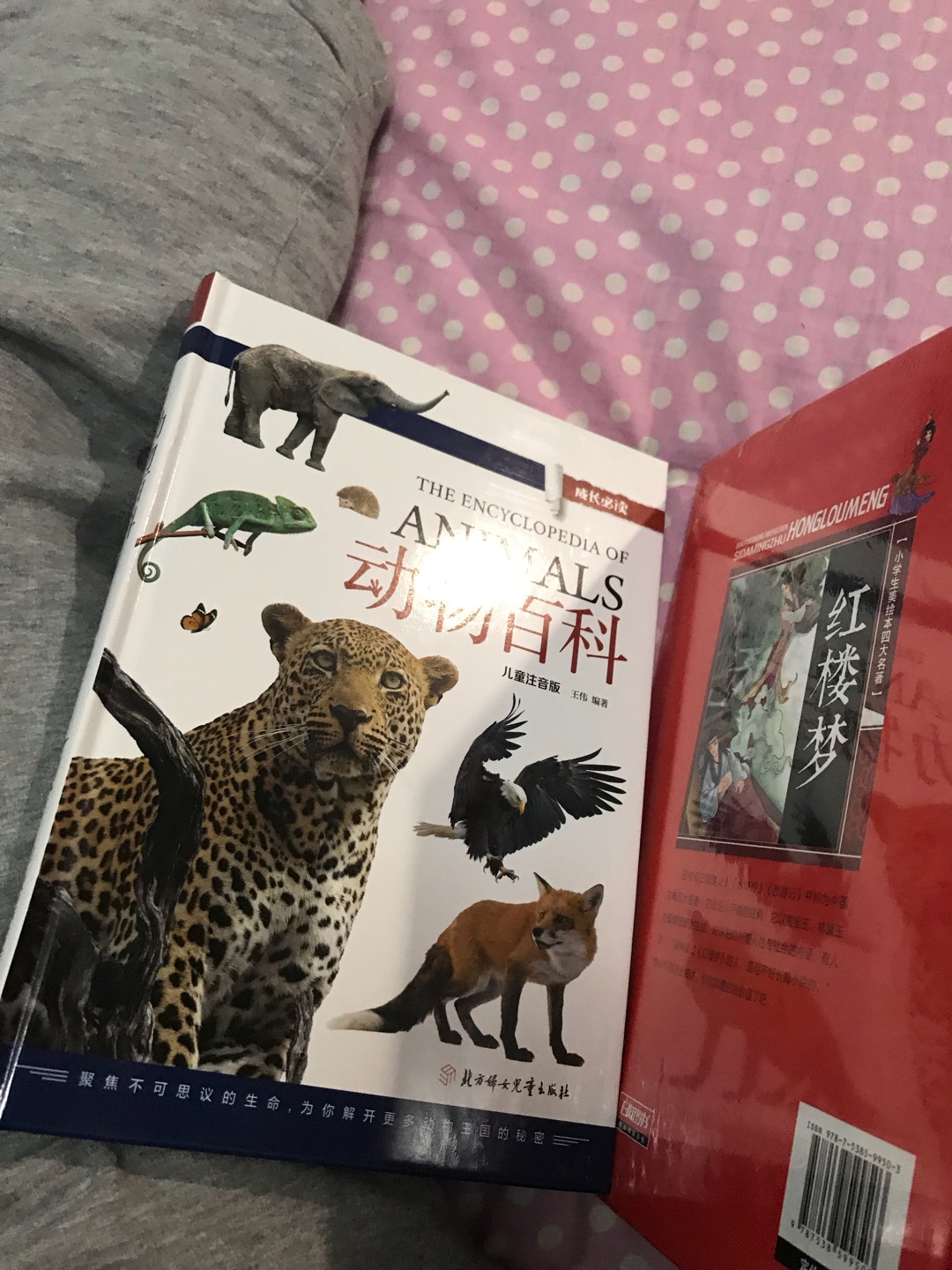 方便!快捷!正版!优惠!放心!最关键的是涨知识!买书已经变成一种购物的需求,看书已经成为一种学习的方式。跟娃一个看书一起学习,共同进步。