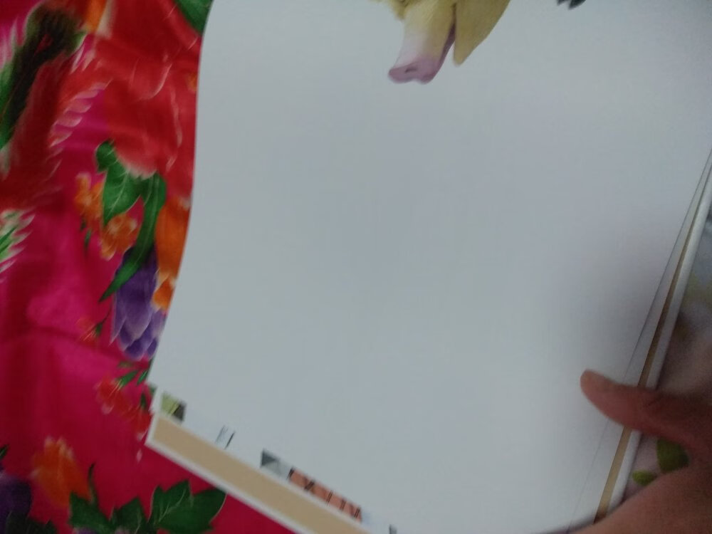 书到了好几天也没注意这本书 今天拿起来给孩子讲得时候 竟然这样?刚开始字体反着我以为注意这样排版得,天啊 后面故事都改了 还有白纸 真是无奈