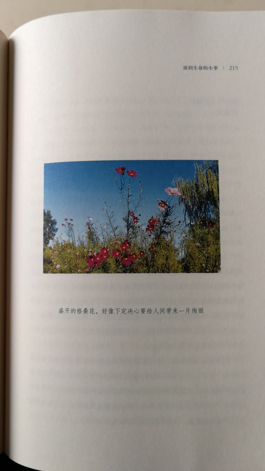 俞敏洪老师是我比较欣赏的老师之一,以前经常听他的演讲,这次买了他的书,仔细读一读,看他在旅行中的见闻。书的质量很好,还赠送有书签,明信片等,值得珍藏。物流也很快,前一天拍,第二天就收到书了。