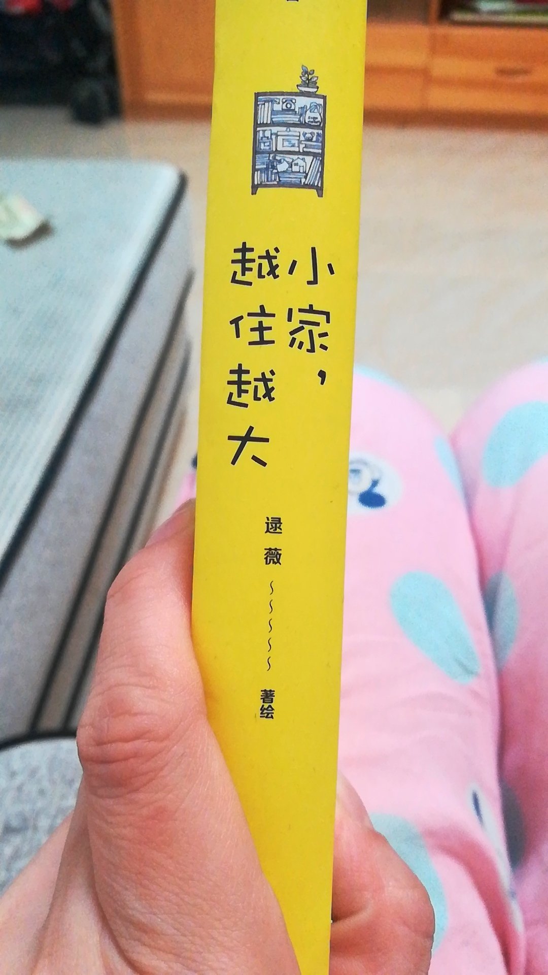 买点家居收纳的书还有必要,提高家庭居住幸福指数。断舍离是关键,然后就是给每样物品设置一个“家”。剩下的就是用完及时归位。虽然主旨理解的很透彻,实施起来有难度。
