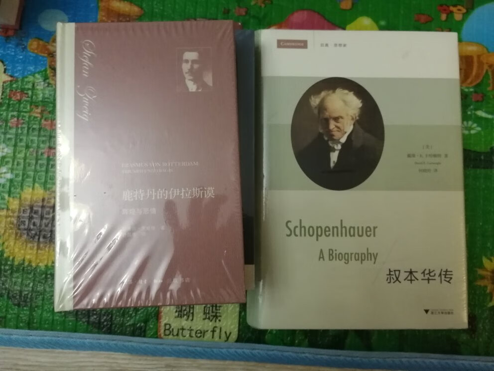 叔本华的书绝对是心灵慰藉的良药,一旦服用,受用终身。他的传记那也是必须要领略的。趁着活动果断下手,实惠多多,快递给力,包装完好,大部头的书,大气浑厚,你值得拥有。