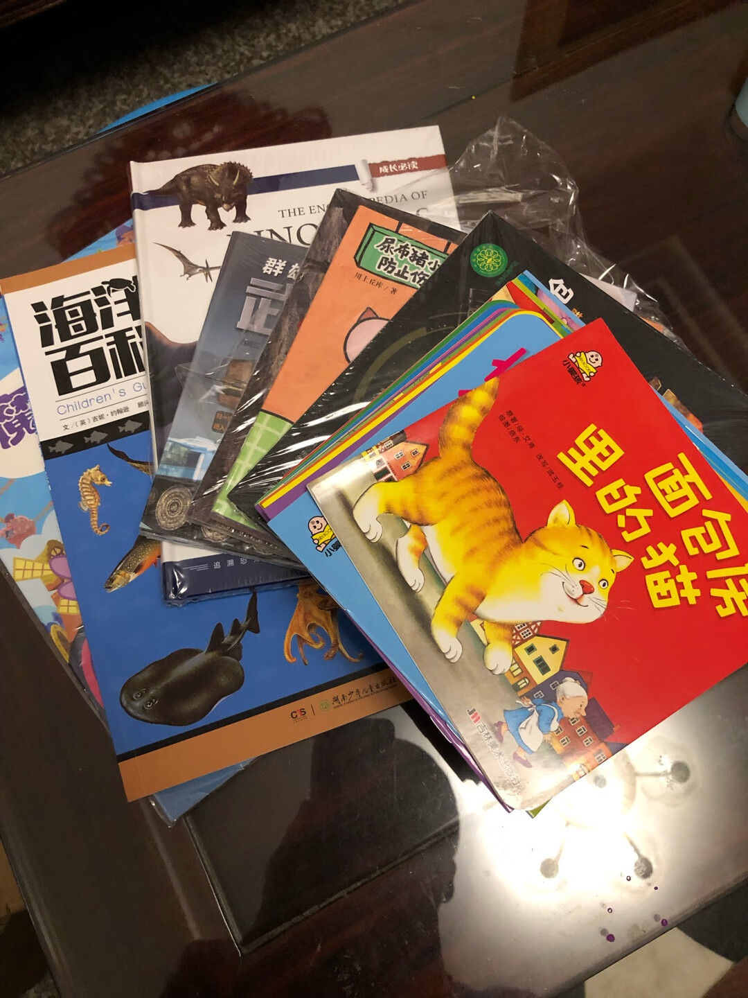 东西还行吧,快递小哥送货上门,包装还行,有几本书有压坏和破损,几本调运过来的几本书气泡袋包装,反倒没什么损坏。箱子蛮大,没有放满,晃来晃去的,但愿以后可以填充一点气泡袋什么的吧。