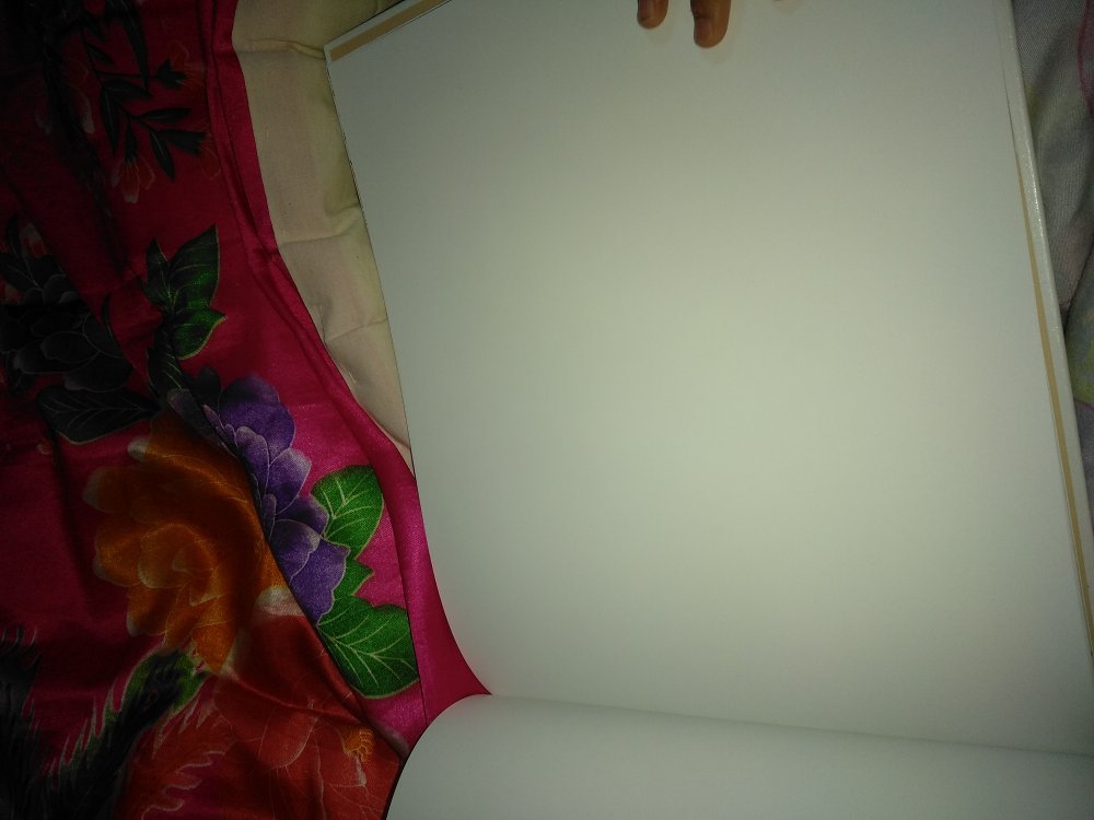 书到了好几天也没注意这本书 今天拿起来给孩子讲得时候 竟然这样?刚开始字体反着我以为注意这样排版得,天啊 后面故事都改了 还有白纸 真是无奈