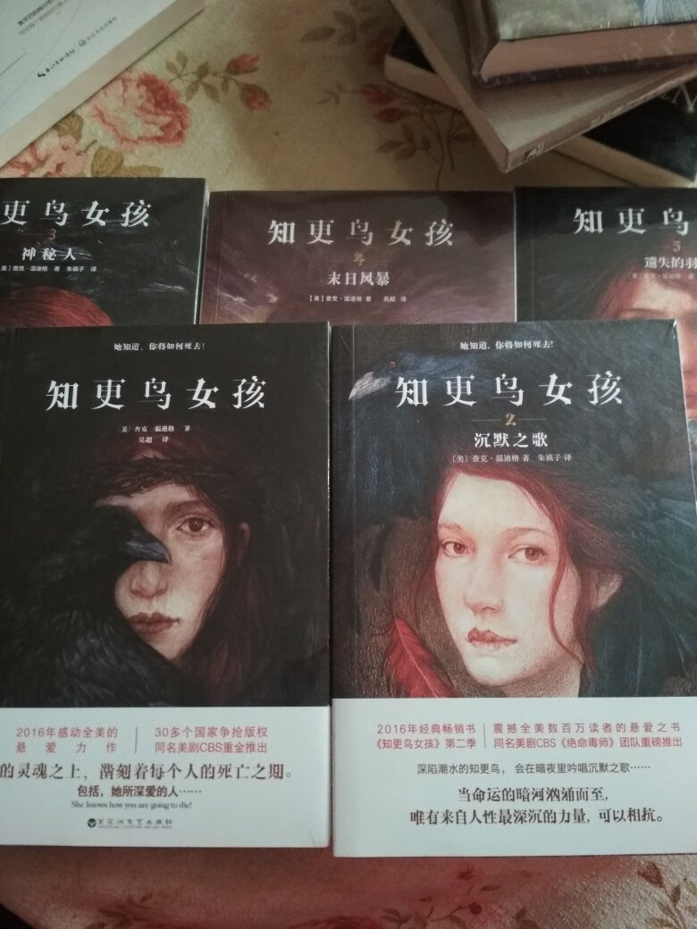 看到这书就下单了,下了单发现有第二部,又下单买了二,接着发现还有三,四,五部。哈,醉了连下三单买齐了。十三本书一起送到,闻着书香,无限满足。接下来好好看!